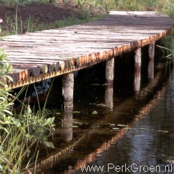 Knuppelbrug over natuurrijke poel